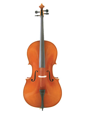 ANV Inst 19 Westbury Cello