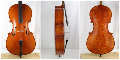 ANV Inst 23 Stradivari Vintage Master