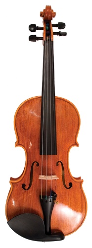 ANV Inst 10 Allegro Violin outfit