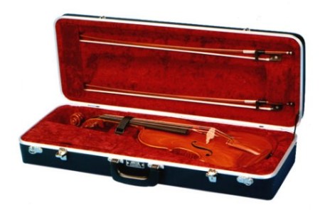 008 Hiscox OVA viola case