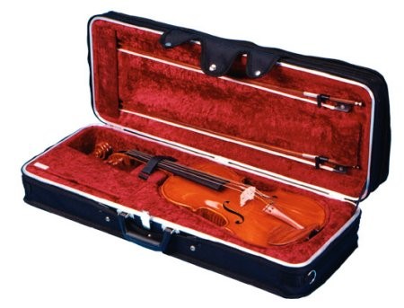 009 Hiscox OVAC Viola Cases