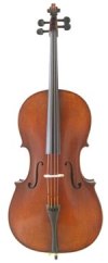 ANV Inst 18 Allegro cello